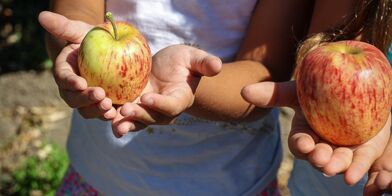 Safe and healthy school / preschool / university
